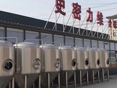 禹会精酿啤酒设备厂—市场规模与跨界新需求